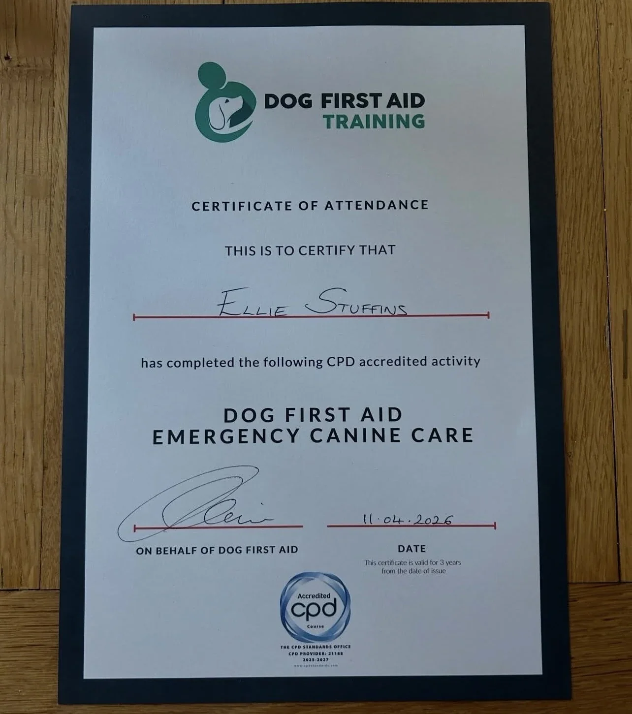 Ellie Stuffins Dog First Aid Emergency Canine Care certificate